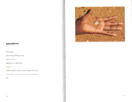 Maypal, Mayali' Ga Wäŋa - Image 3