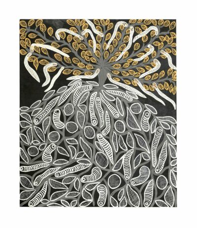 <br>Muluymuluy Wirrpanda</br><strong>Gathul - Mangroves </strong><br>61 x 51 cm</br><br>ID: 8250-22</br>