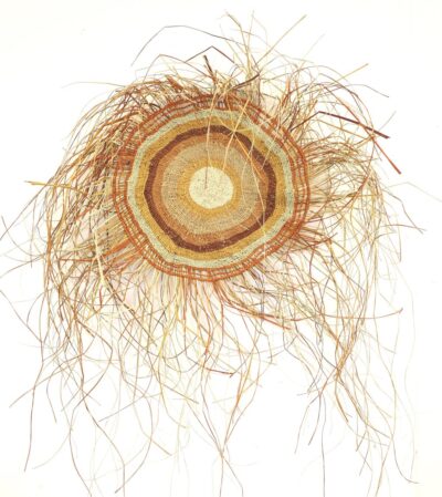 <br>Gawiŋu Samantha Dalparri</br><strong>Ŋaṉmarra </strong><br>48 x 45cm</br><br>ID: 6630-24</br>