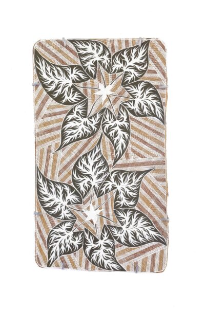 <br>Djul’djul Gurruwiwi</br><strong>Dhatam</strong><br>60.5 x 34.5</br><br>ID: 5344-25</br>