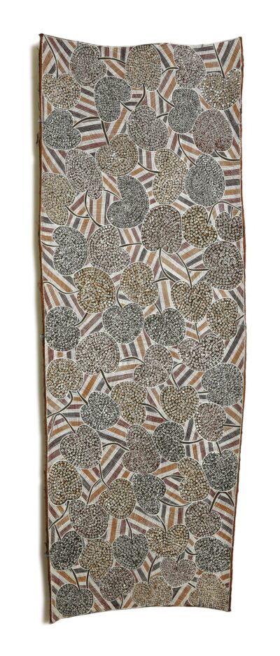 <br>Manany Gurruwiwi</br><strong>Dhatam</strong><br>161cm x 56cm</br><br>ID: 2652-23</br>