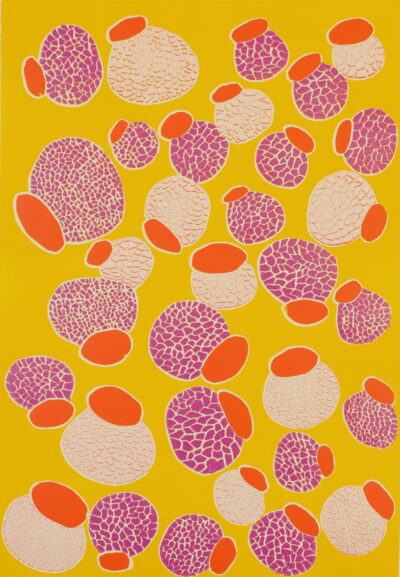 <br>Bitharr #2 Maymuru</br><strong>Ganya'wu </strong><br>46 x 32cm</br><br>ID: 6279-25</br>